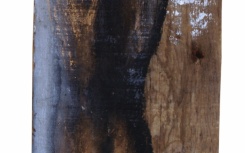 Sin título
                              	/ tecnica mixta s/madera
                              	/ 40x15,5cm
                              	/ Sarajevo 1988