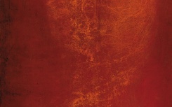 Sin título
                              	/ oleo s/tela
                              	/ 120x91cm
                              	/ New York 1998