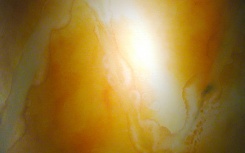Sin título
                              	/ oleo s/tela
                              	/ 91x121cm
                              	/ New York 1999